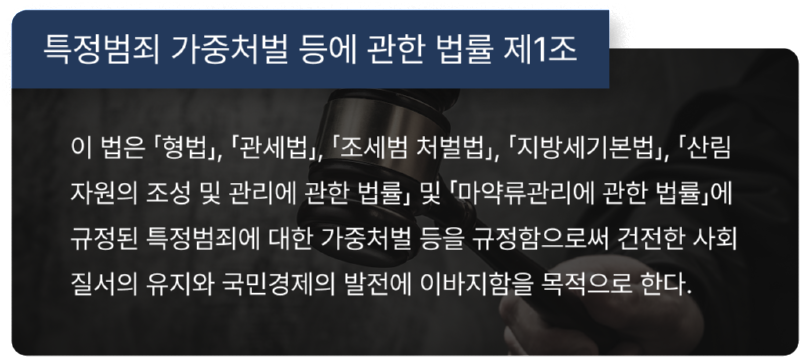 특정범죄가중처벌등에관한법률.png