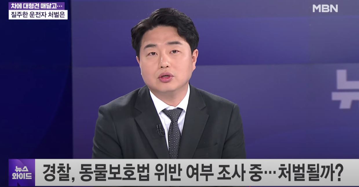 성공사례 이미지