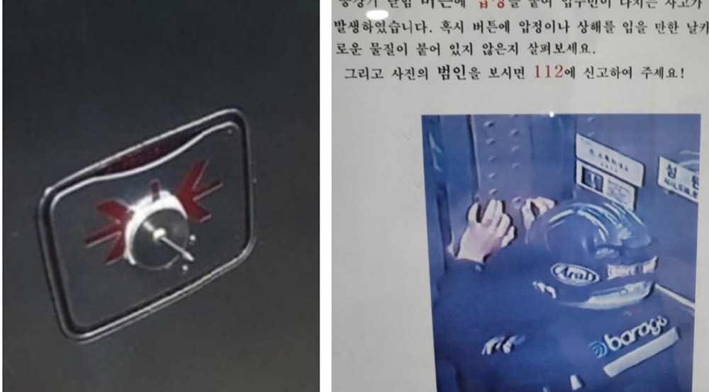 성공사례 이미지